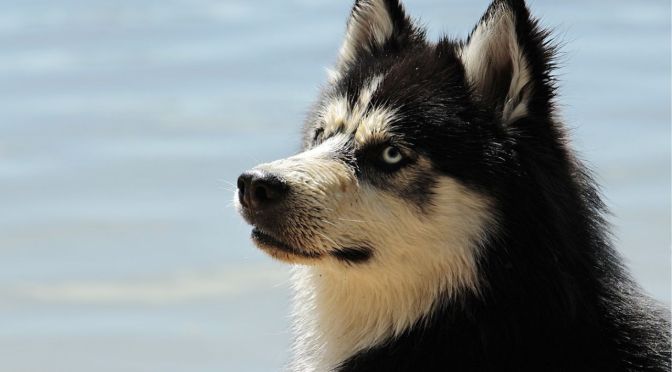 Nightmare November: Part 11